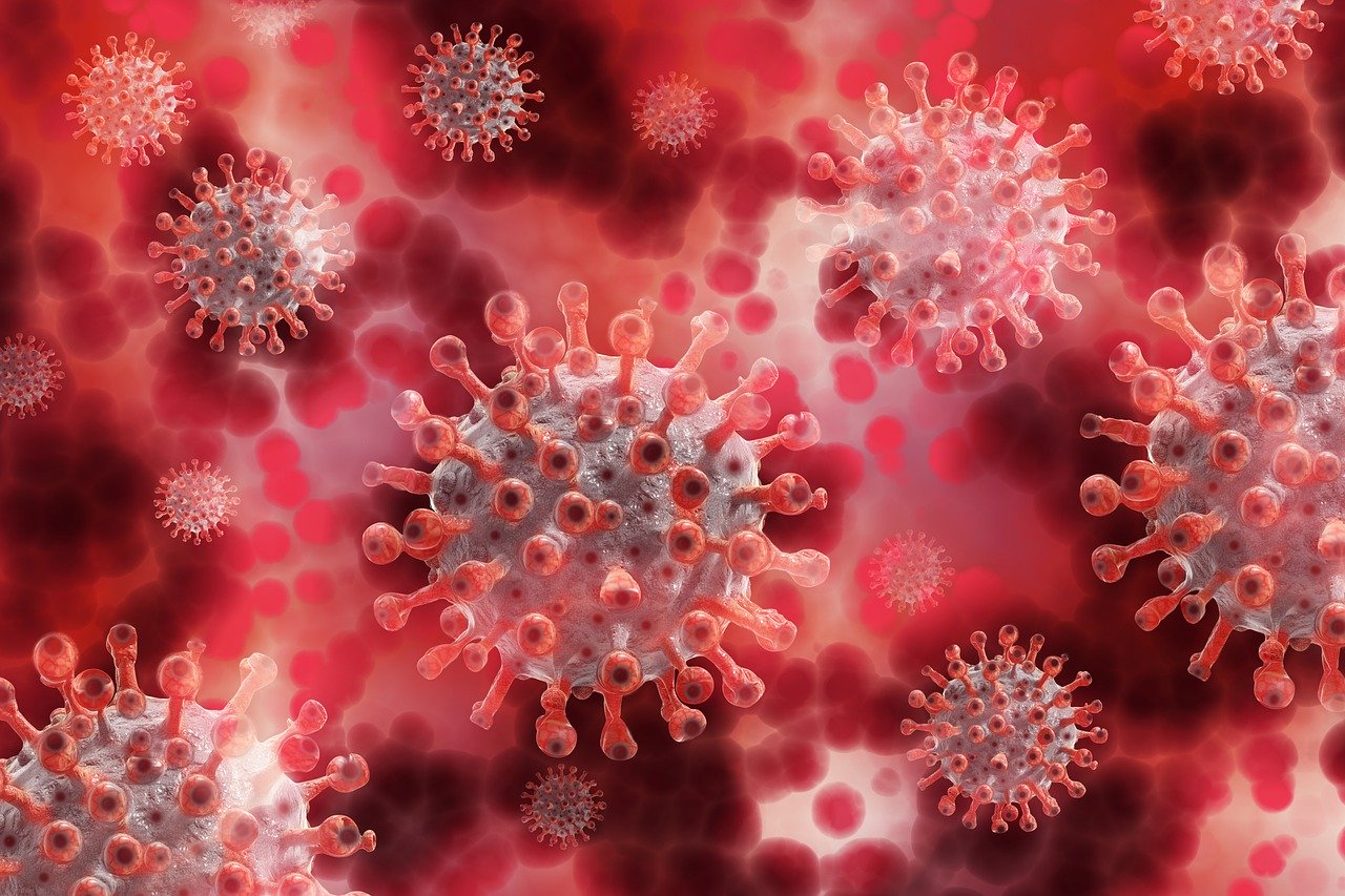 Coronavirus. Indennità INPS - Redigo.info