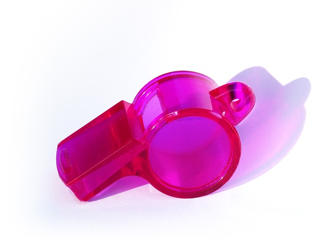 whistleblowing - Redigo.info