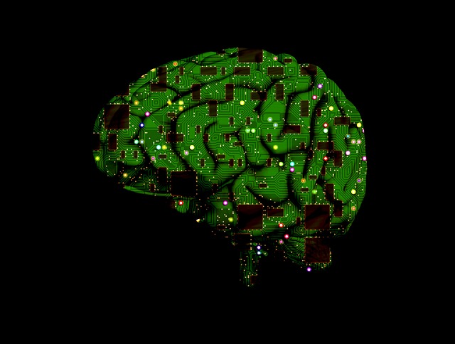 AI - redigo