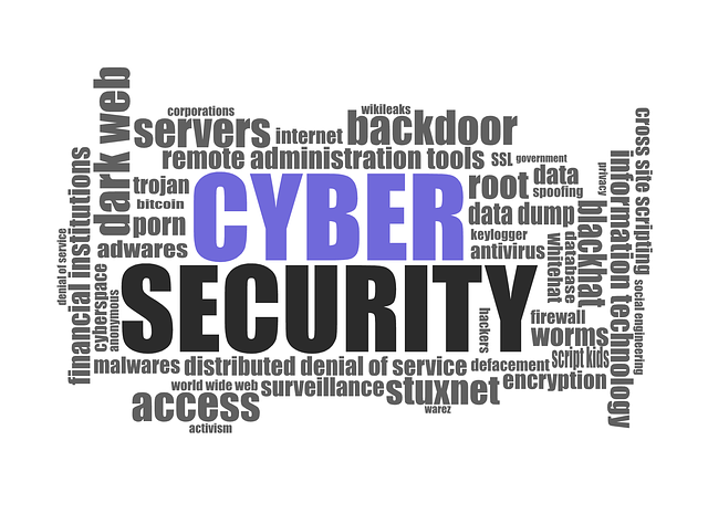 cyber - redigo
