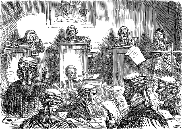 sentenza - redigo