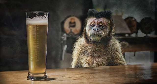 bar - redigo