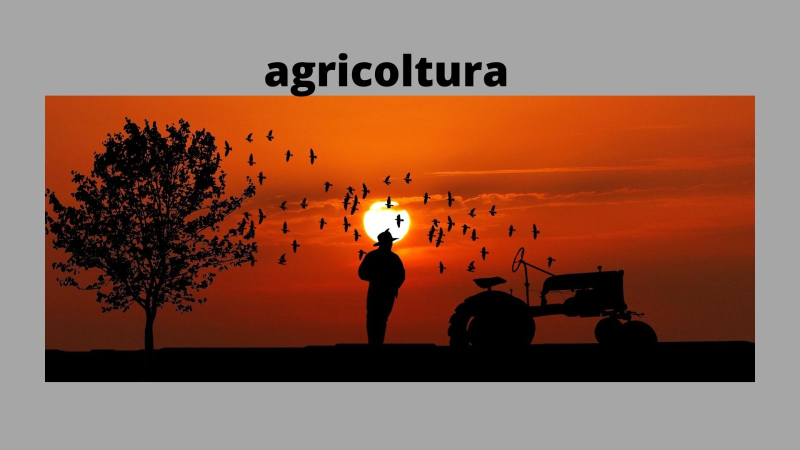 agricoltura