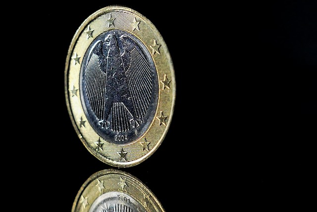 euro - redigo