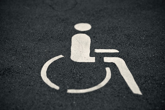 disabilità - redigo