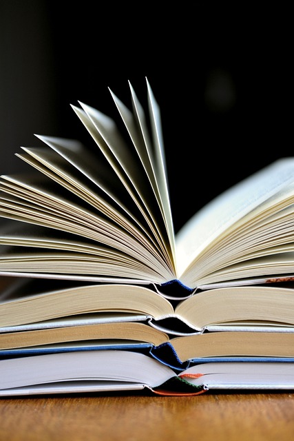 Libri-leggi-e-prassi-redigo