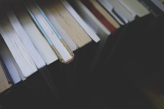 libro - redigo