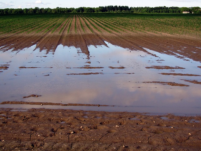 alluvione-Emilia-Romagna-redigo
