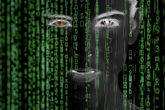 cyber - redigo