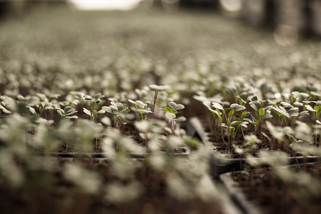 agricoltura-ccnl-redigo