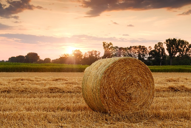agricoltura - redigo