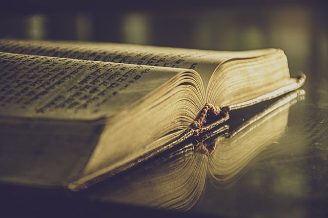 libro - redigo