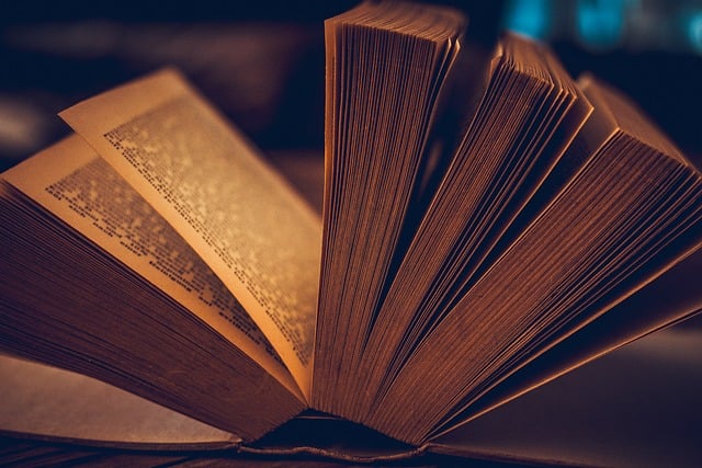 libro - redigo