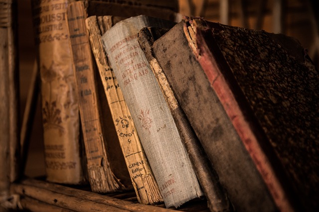 libro - redigo