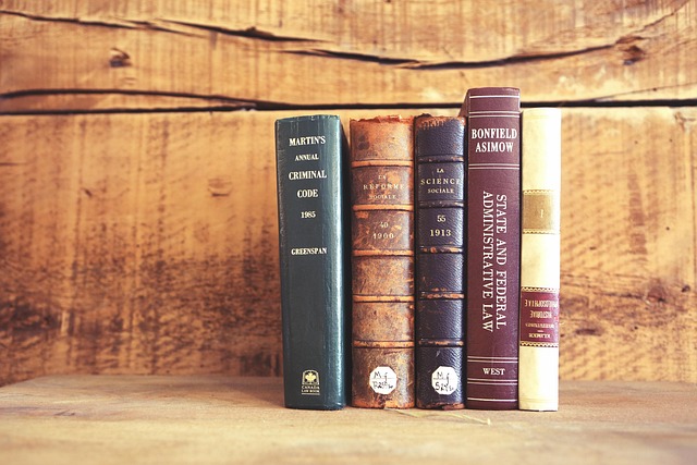 libro - redigo