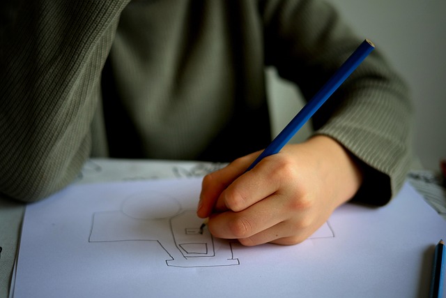 alternanza scuola lavoro - redigo