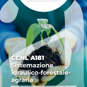 CCNL A181 - Sistemazione idraulico-forestale-agraria