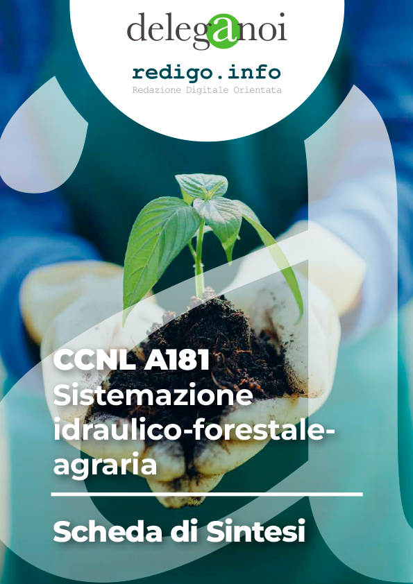 CCNL A181 - Sistemazione idraulico-forestale-agraria