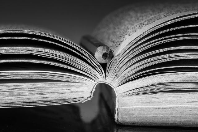 libro - redigo.info