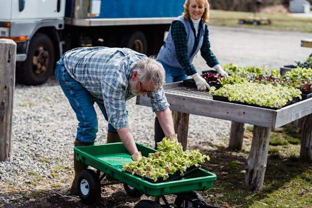 ccnl-cooperative e consorzi agricoli-redigo