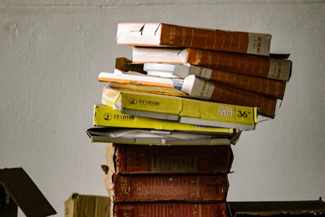 modelli dichiarativi - libri - documenti -redigo