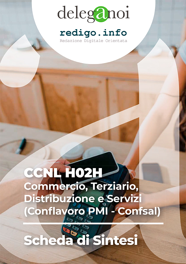CCNL H02H - Commercio, Terziario, Distribuzione e Servizi (Conflavoro PMI - Confsal)