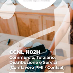 CCNL H02H - Commercio, Terziario, Distribuzione e Servizi (Conflavoro PMI - Confsal)