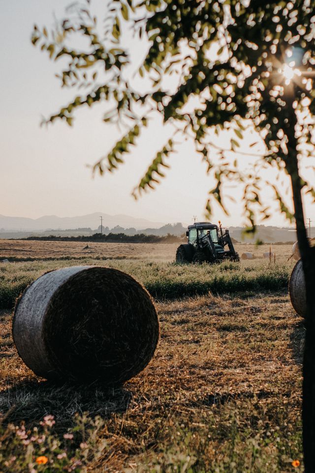 agricoli - redigo