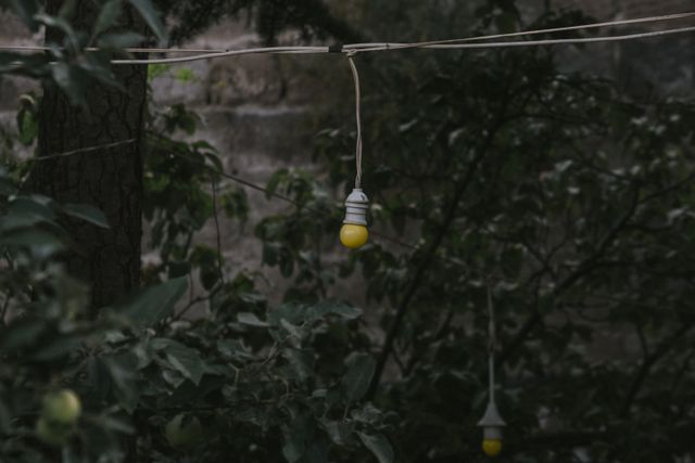 transizione ecologica - redigo